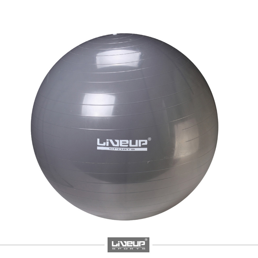 GYM BALL LS3221