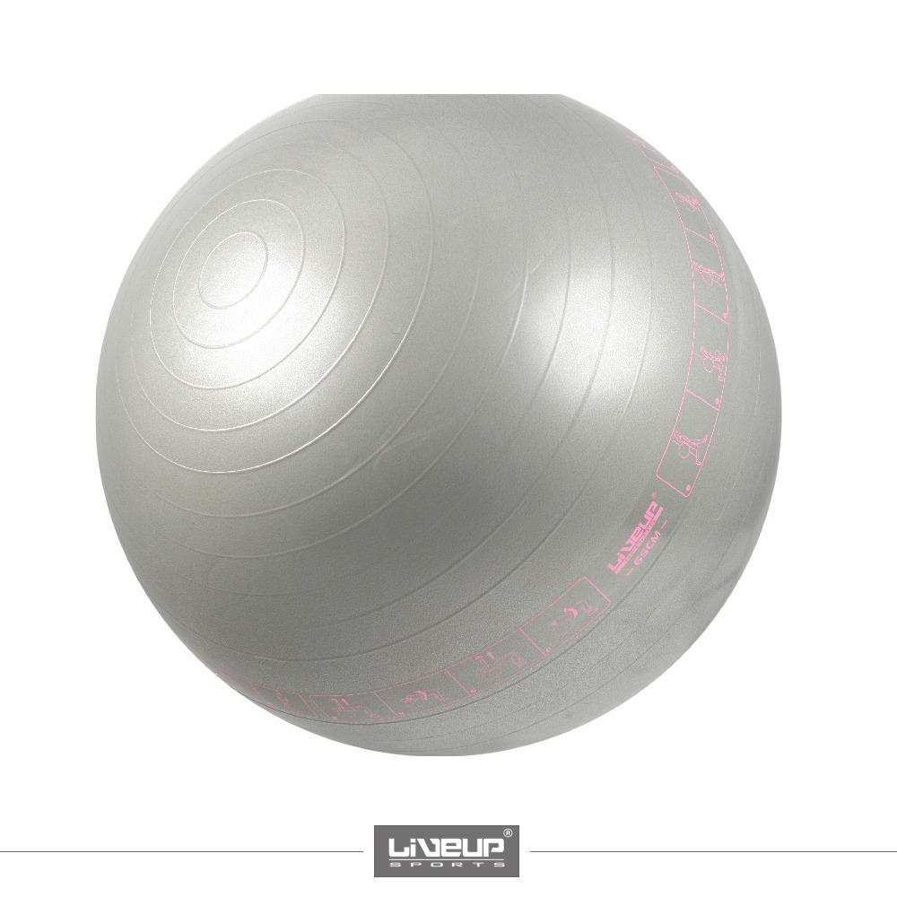 PATTERNED GYM BALL LS3577