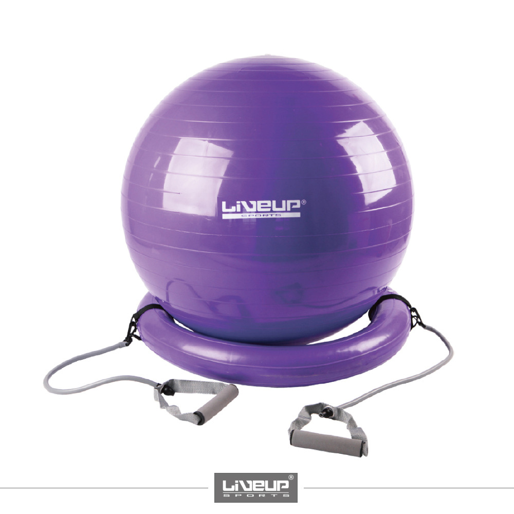 GYM BALL WITH BASE AND EXPANDER LS3228