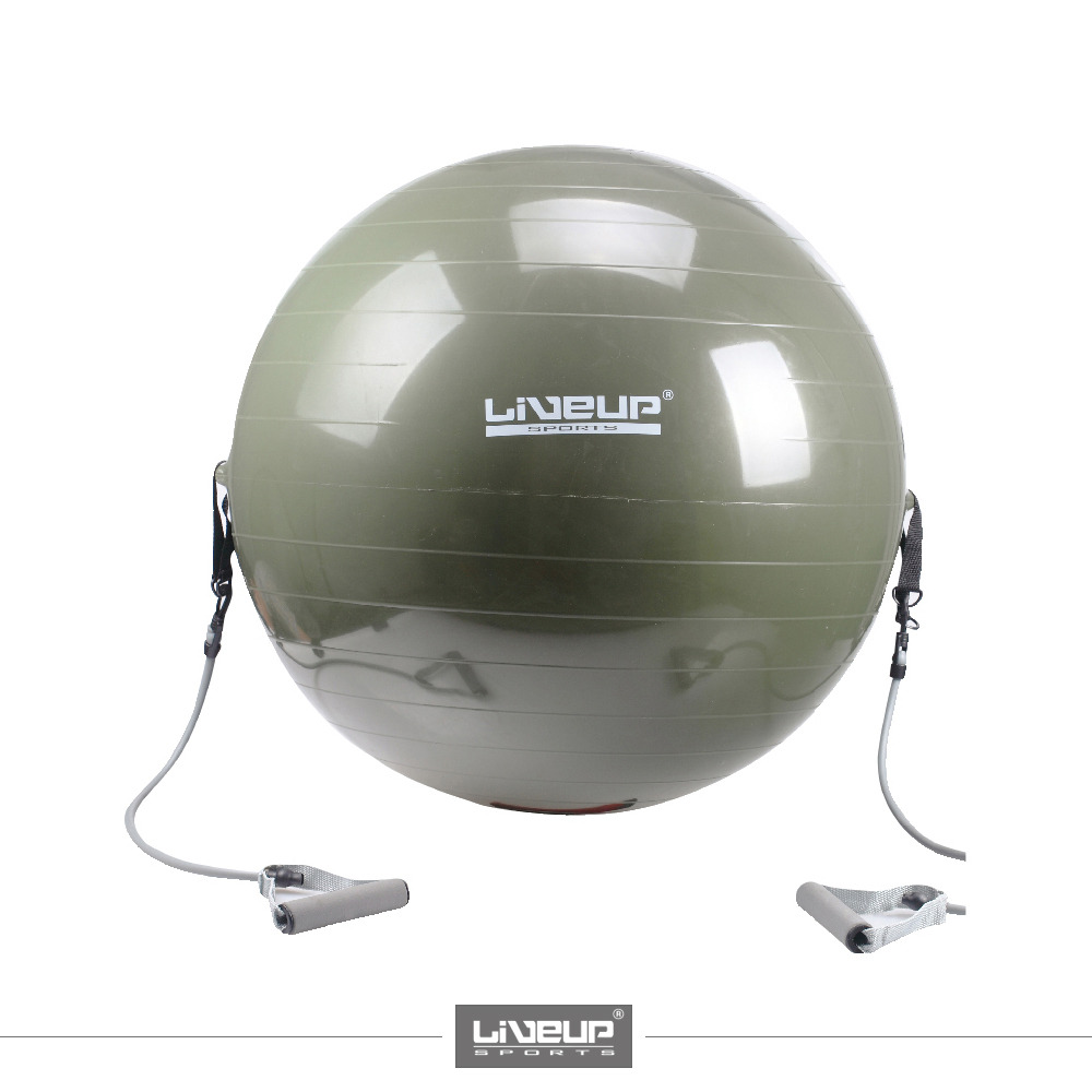 GYM BALL  WITH EXPANDER LS3227