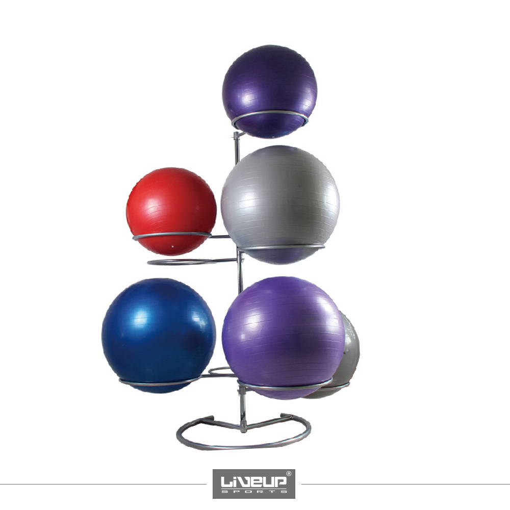 YOGA BALL RACK LS1831