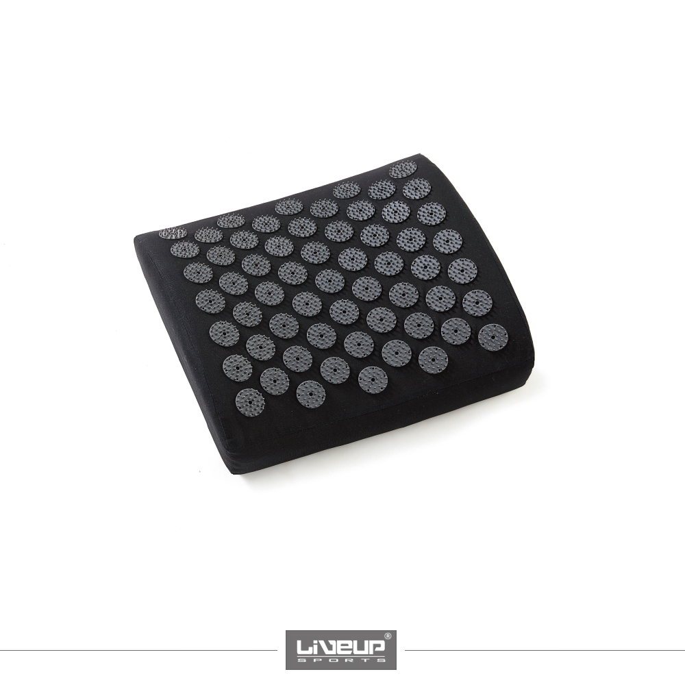 MASSAGE CUSHION LS5424