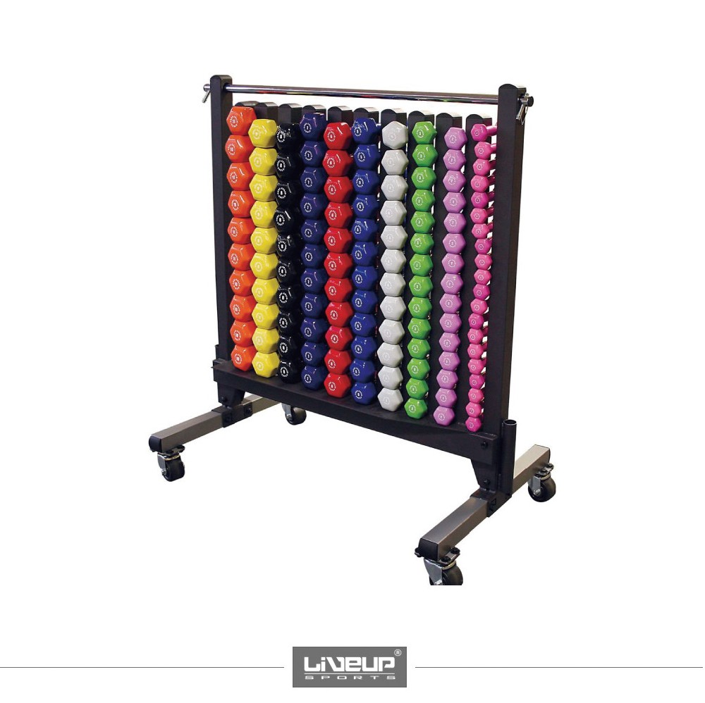 DUMBBELL RACK LS1909