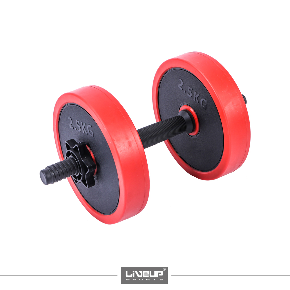 CEMENT DUMBBELL SET